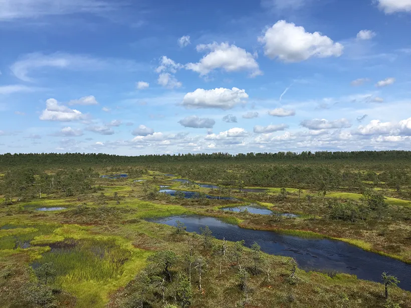 Хүлэрт газрын ландшафт